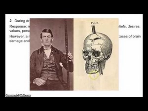 Personal Identity 1 - Psychological Continuity