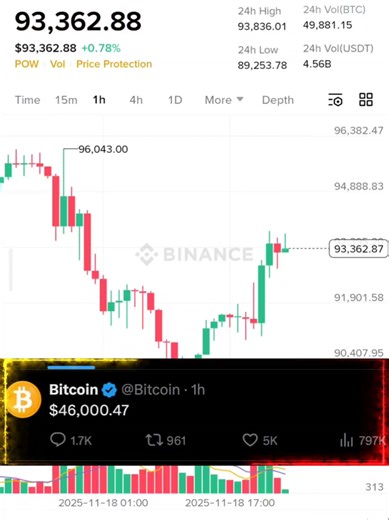 Market Update: Cryptocurrency Insights for November 19