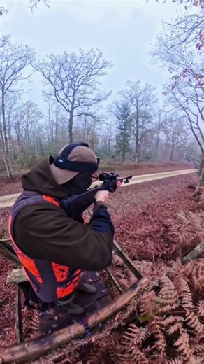 Самый важный выстрел этого дня #huntinglife #deerhunting #hoghunting #hogs #huntingshorts #animals