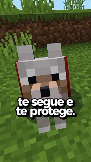 O Lobo funciona em 3 MODOS!