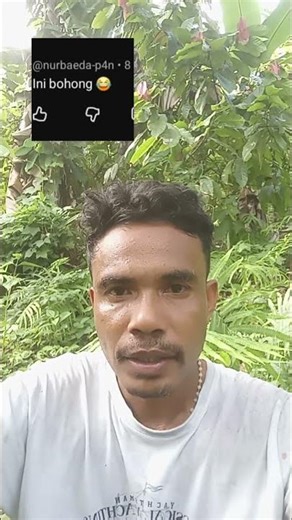 Spill results of topping on cocoa seedlings #plantations #agriculturaltechniques #agriculture #cocoa