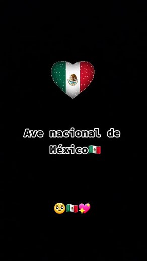 Explore the Significance of Mexico's National Bird