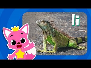 Letter I: Iguana | Learn Alphabets | Learn English Alphabet for Kids | Learn with Pinkfong