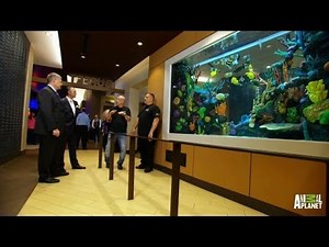 Reveal: The First of Two Tanks for Windcreek Casino | Tanked