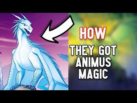 The ORIGIN Of Animus Magic (Theory)