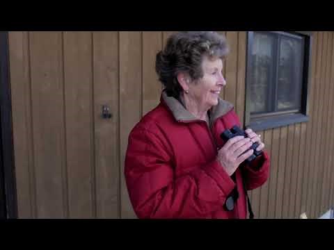 All about Project FeederWatch