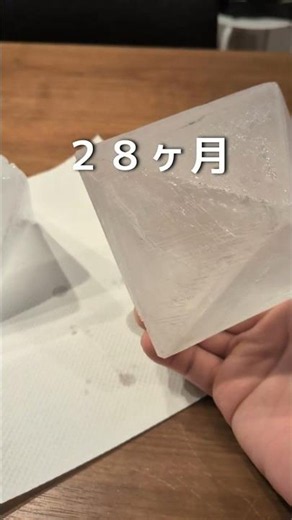 【ミョウバンの結晶育成記録】28ヶ月目 #理科 #自由研究 #ミョウバンの結晶 #科学 #実験