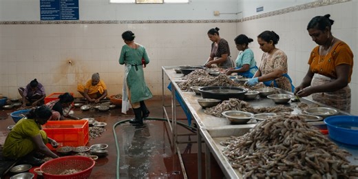 India Braces for the Pain of Trump’s Stiff Tariffs