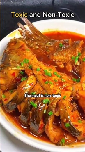 What other fishes do you think are toxic? #fish #shorts