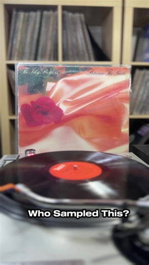 Who Sampled This? Discover the Origins of Hit Tracks