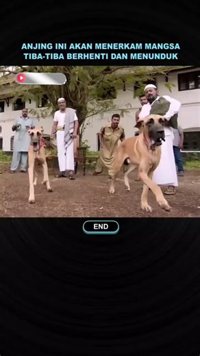 In-Depth Review of Alur Film