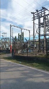 assam university garden