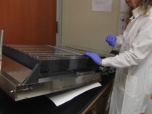 Activating Autophagy by Aerobic Exercise in Mice