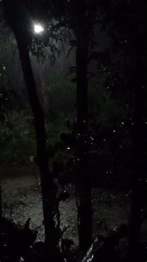 It's raining heavily tonight #viralvideo #viralshort #myvillage #heavyrain #nighttime #cold #shorts