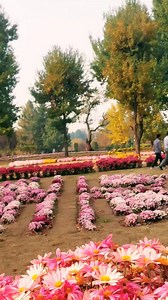 Beautiful Vibes ❤️ #naturelovers #adventures #destination #tourism #explore | Unexplored beauty of nature