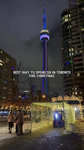 Experience a Magical Christmas Train Ride in Toronto