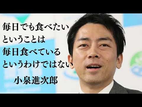 Shinjiro Koizumi's Quotes: SEXY