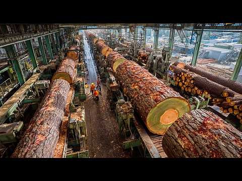 America’s Log to Lumber in Minutes: Millions of Boards Produced Daily by Modern Automatic Machines