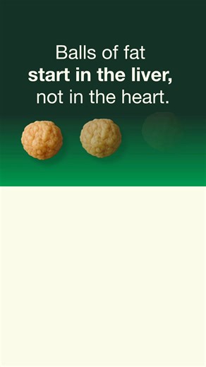 🩸Did you know your liver is solely responsible for eliminating cholesterol from your body? When it’s functioning properly, it converts excess bad cholesterol (LDL) into bile, which is then excreted in the feces. But when it’s damaged, cholesterol deposits in your artery walls. A fatty liver *boosts* the production of “bad” cholesterol (LDL) and *decreases* the production of good cholesterol (HDL). 🌱 Something for a Detox Week contains artichoke, choline, rosemary, fennel and chicory, clinicall