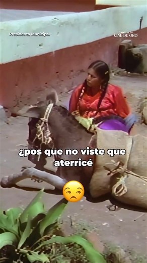 807K views · 24K reactions | Y puuuum  AZOTÓ LA RES  No te pierdas La Presidenta Municipal con María Elena Velasco y las mejores películas del Cine de Oro Mexicano  gratis en Lo Mejor de Canela.TV  ¡descarga la app! #CanelaTV #CineDeOro #CineDeOroMexicano #LaIndiaMaría | Canela.TV | Facebook