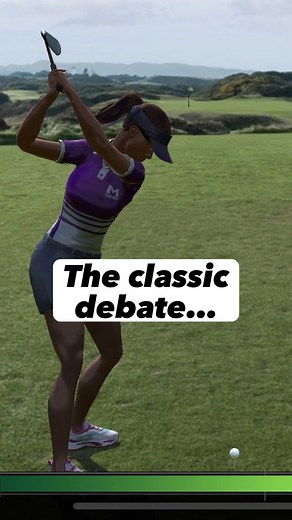 A hole-in-one is a hole-in-one... right? | WGT Golf