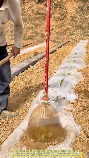Homemade Planting Tool: Farmers’ Clever Hack for Efficient Farming.