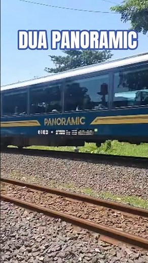 WHY ARE THERE TWO PANORAMIC CARRIAGES? #train #short #panoramic