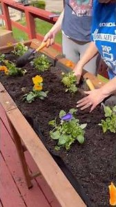 The GARVEE All Cedar Raised Garden Bed: A Great Addition to the any Garden! #garvee #garden