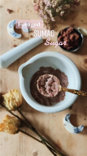 Foraging Staghorn Sumac: Harvesting and Processing Guide