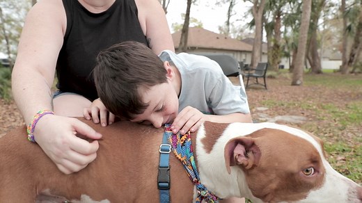 BluePearl offers 24/7 walk-in veterinary emergency care with experienced doctors, advanced equipment, CareCredit financing. | BluePearl Pet Hospital