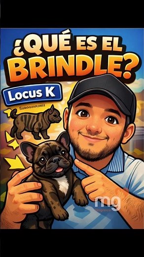 🐾 ¿QUÉ ES EL COLOR BRINDLE?