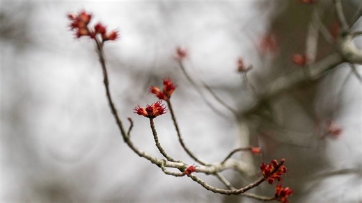 What day does spring start? About the 2026 equinox, last day of snow