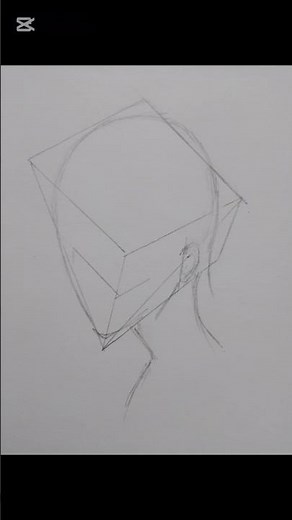 Head Anatomy Made Easy