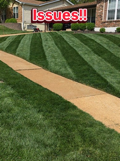 Fungicide Timing: Pre-Treat Lawn with Anderson's Prophesy