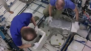 Biomarkers denote your health. 🍎 It’s the health-indicator inside your body, and NASA’s Human Research Program uses biomarkers to study how the body adapts in space. This research will help astronauts on long-duration missions to the Moon, and eventually, Mars. Learn more: nasa.gov/hrp/i1ymp/spaceflight-standard-measures | NASA's Johnson Space Center