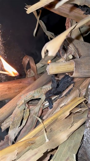 Homemade insecticide, don't use too much, it will foam up #funny #folkcraftsman | Shūshu de chúfáng