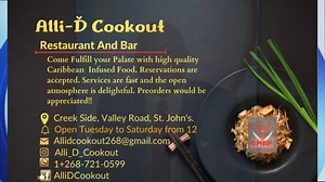 9.7K views · 69 reactions | David Allicock of Alli-D Cookout - Island Flavors & Karaoke Night | ABS Television/Radio | Facebook