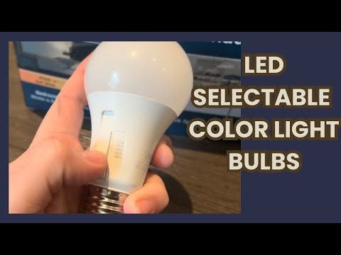💡 Warm or Cool? These Bulbs Let You Choose! #ad