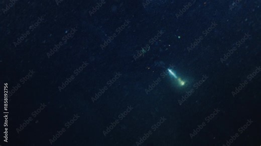 Muck diving in Indonesia. Scuba diver swims underwater in the sea at night and searches creatures with the torch. Muck diving on Alor island in Indonesia