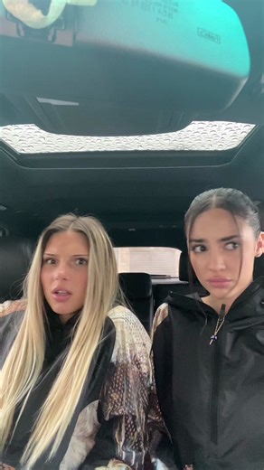 Playful Car Scuffle Between Friends