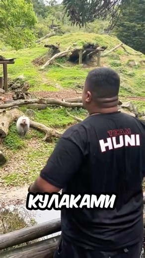 Он ПОДРАЗНИЛ ОБЕЗЬЯНУ в ЗООПАРКЕ 🤣🐒 и вот ЧТО БЫЛО ДАЛЬШЕ…