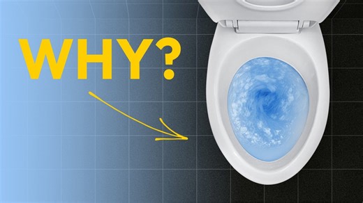 The great toilet debate: Where America and Europe truly differ