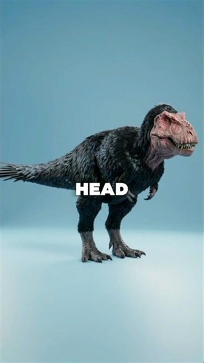 Rex You Know Might Be Wrong