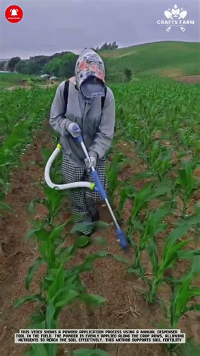 Fertilizer Application: Manual Powder Dispenser for Crop Nutrition