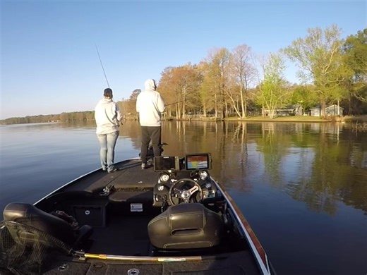 My wife always catch them. I guess I’m just a fishing guide and the net boy lol#foryoupage #bassfishing #bigbass