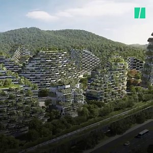 China might have a solution to its pollution problem: building 'forest' cities for its citizens. | HuffPost UK