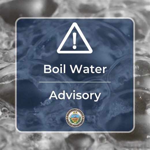 A Boil Water Advisory has been issued for around 95,000 customers in portions of Pennsylvania American Water’s service area. Impacted Areas in Allegheny County: Bethel Park, Clairton, Dravosburg, Elizabeth Township, Elizabeth Borough, Glassport, Jefferson Hills Borough, Liberty, Lincoln, North Fayette, South Fayette, South Park, Upper Saint Clair, West Elizabeth. Immediate Actions to Take: DO NOT DRINK THE WATER WITHOUT BOILING IT FIRST. Bring all water to a rolling boil, let it boil for one min