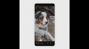 Google Photos Redesigned Memories