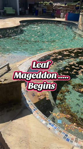 Leaf Season in North Texas: Pool Maintenance Tips