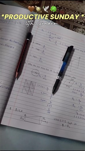 Productive Sunday 📚🥀✨ as a CBSE 12th grader ❤️‍🩹 #studywithme#minivlog#studyvlog#neet2027#boards2027